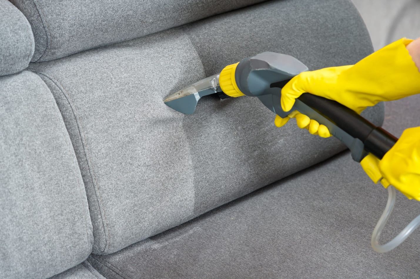 Carpet, Sofa & Upholstery by Dansworld