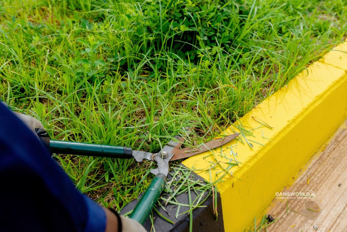Dansworld landscaping technician trimming a lawn edge