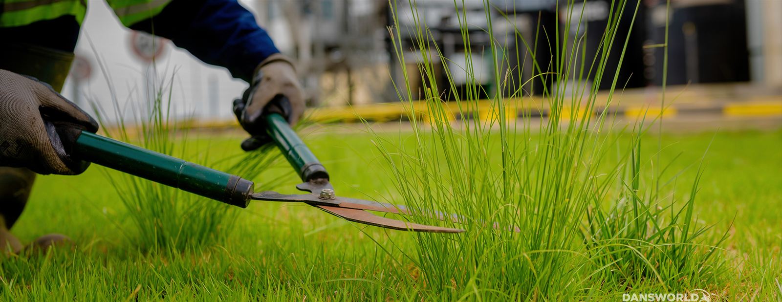 Dansworld landscaping team maintaining green space